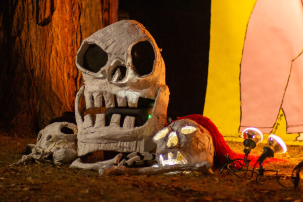 Photo by MindTwist Studio