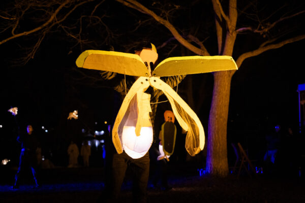 Photo by MindTwist Studio