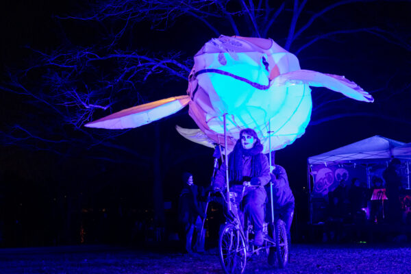 Photo by MindTwist Studio