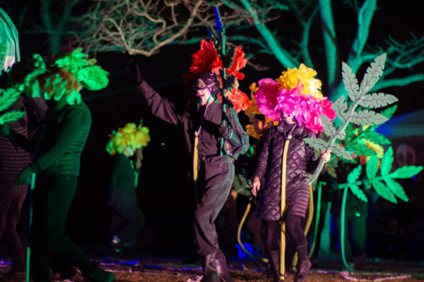 Photo by MindTwist Studio