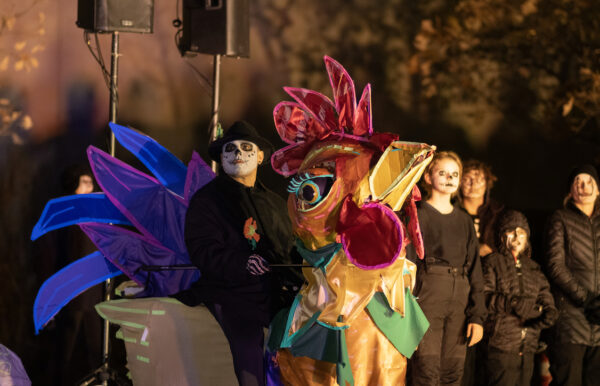 A man dressed in black with skull face makeup sitting in the middle of a 5 foot tall, and 5 - 6 foot long rooster puppet.
