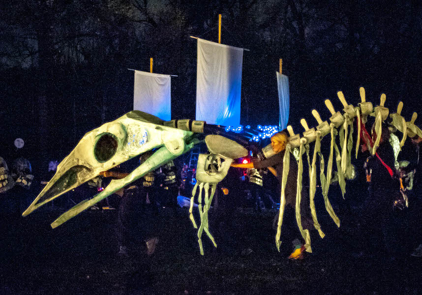 Puppeteers carrying a life size whale skeleton.